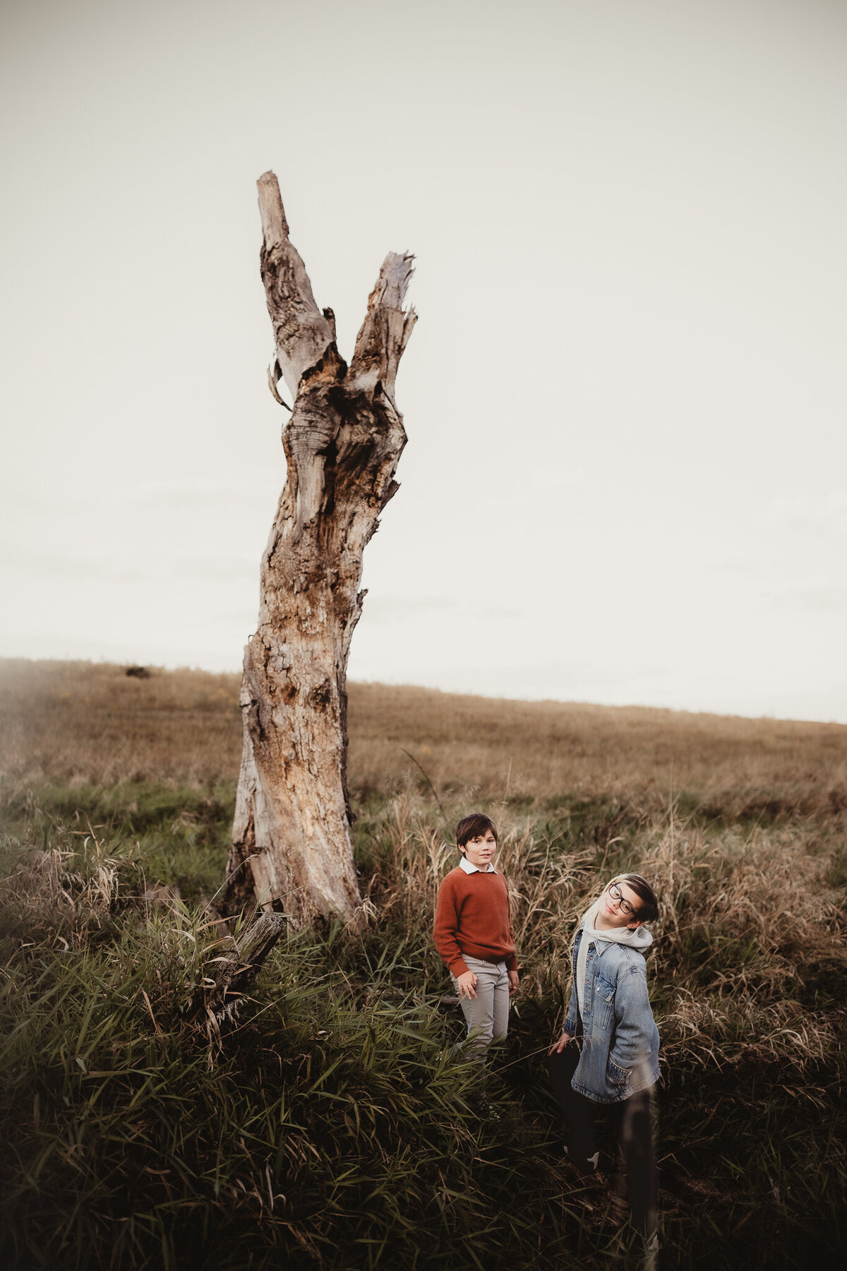 brother exploring old tree in field of iowa