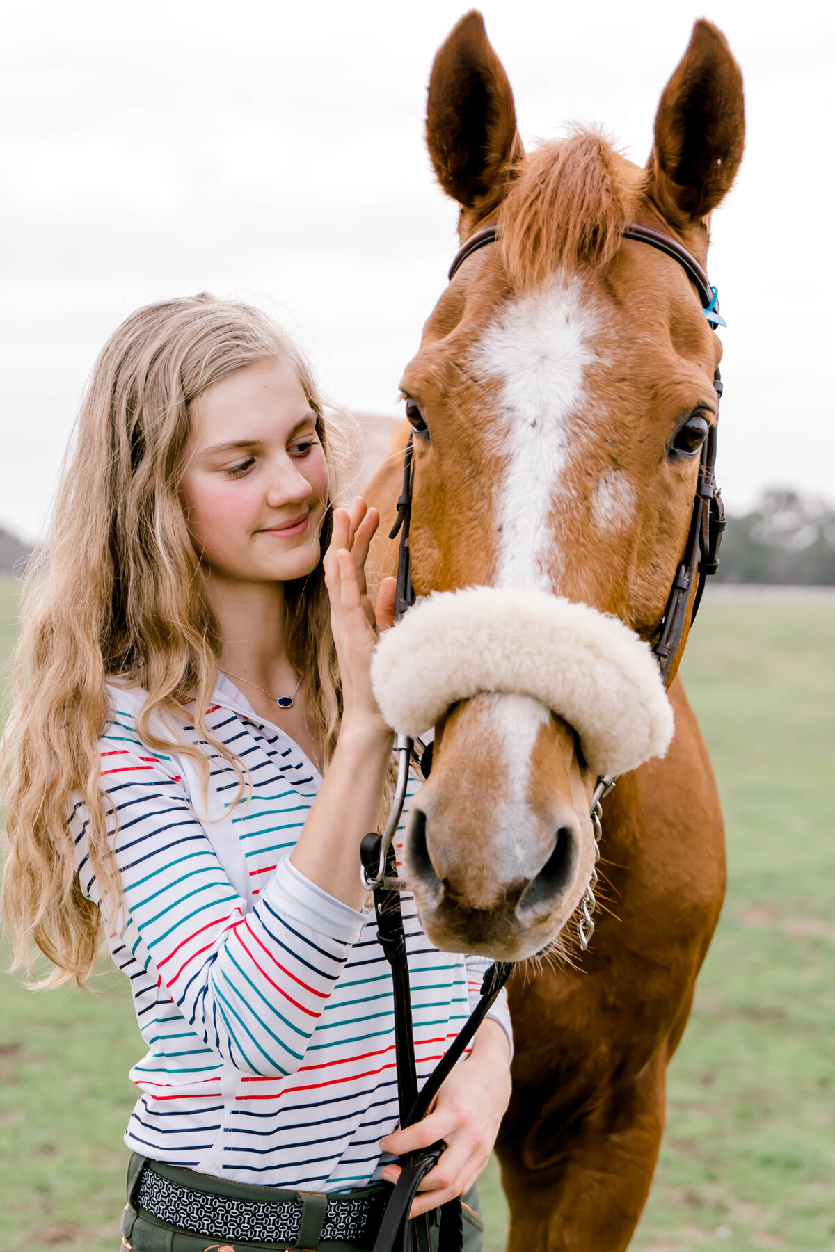 Steph horses-7