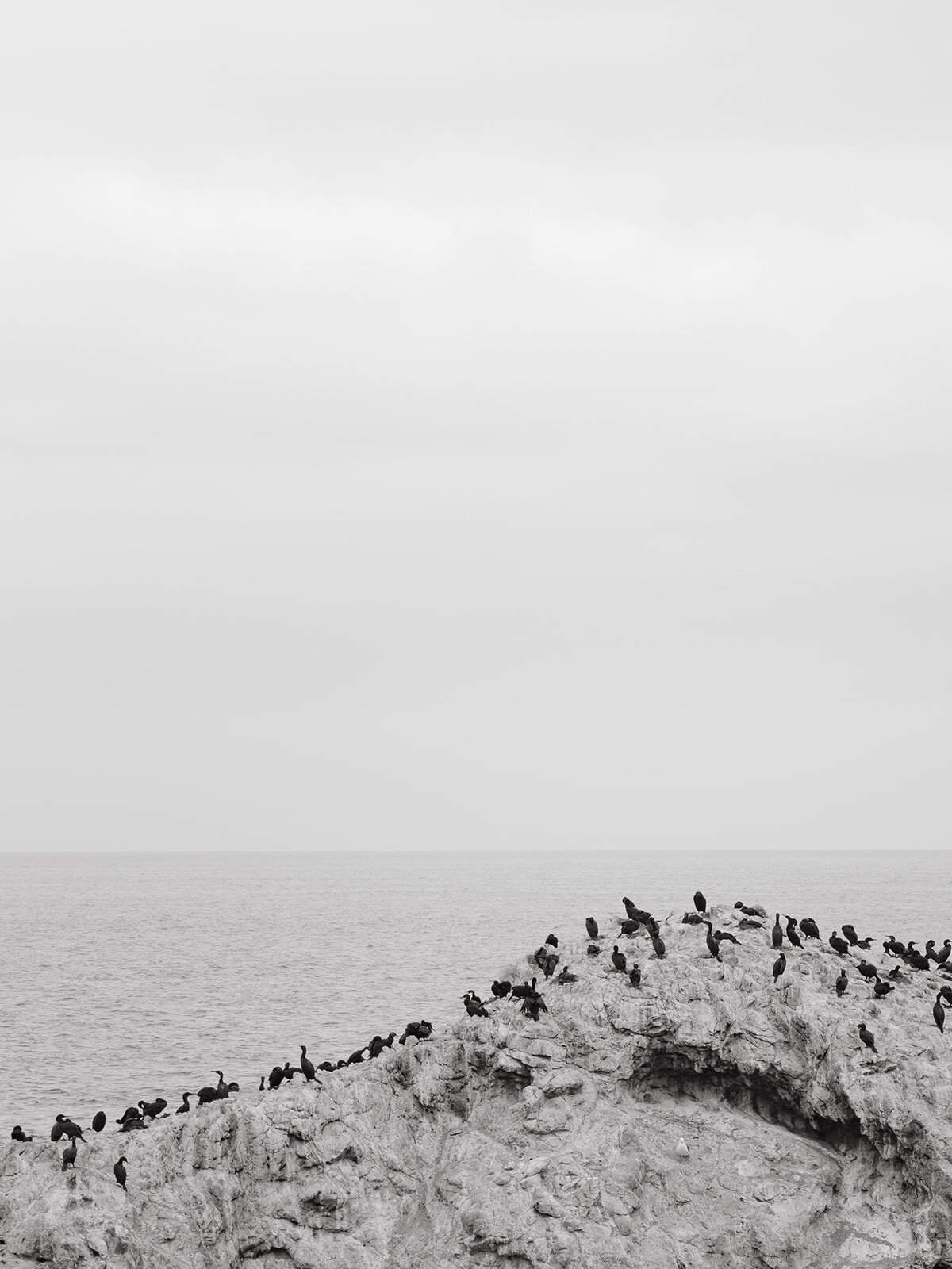 loui_photography-5