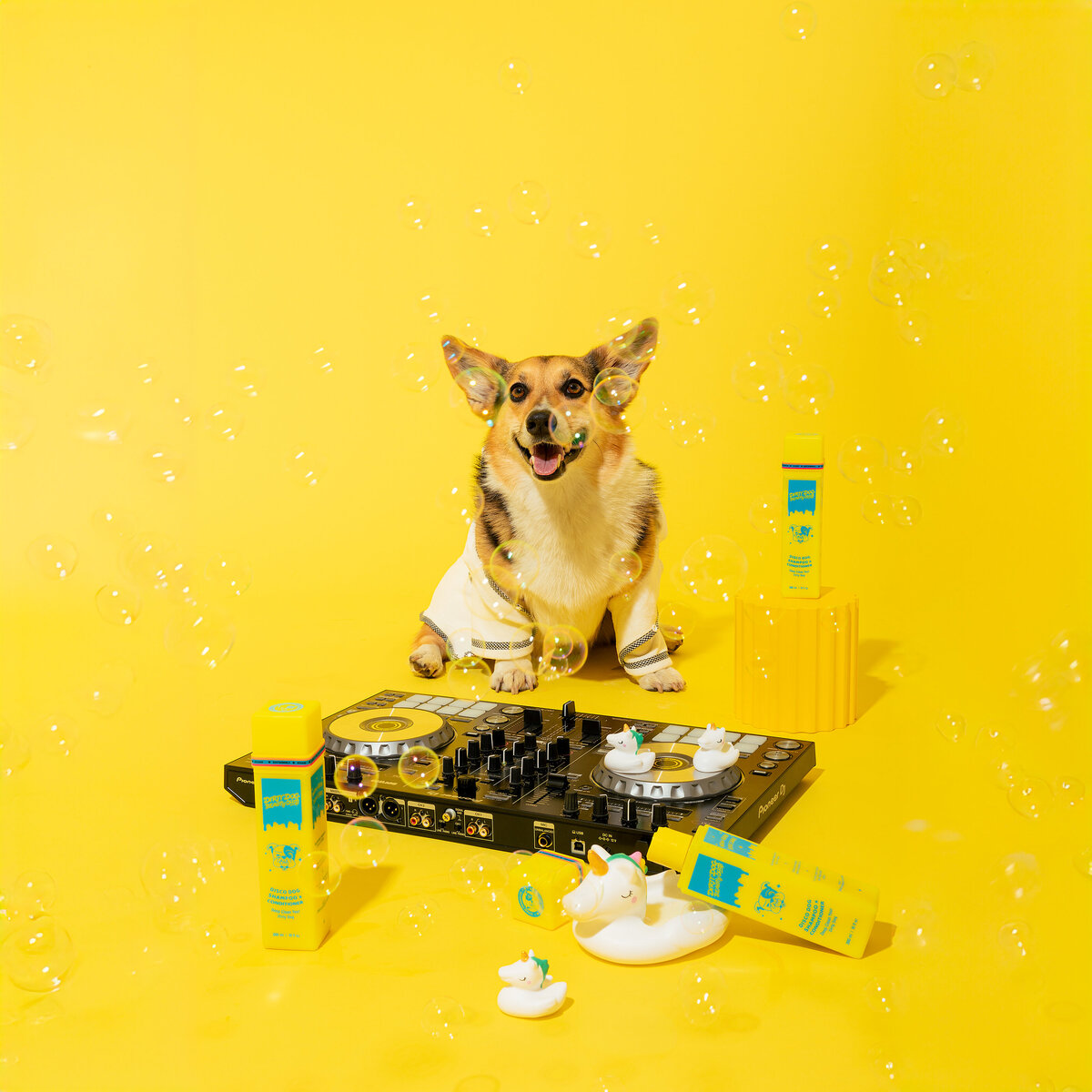 ddbcdogphotos_-8