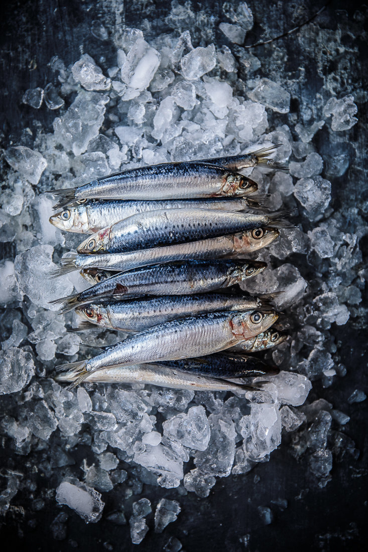 Seafood | Fresh | Food Styling | Anisa Sabet | The Macadames-71-17