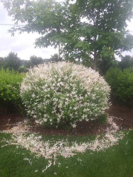 20190620_094619