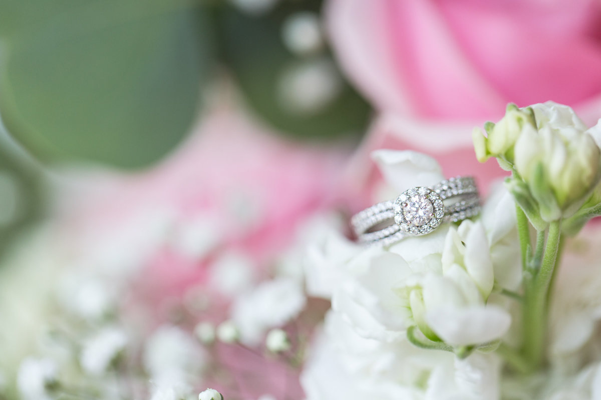 Ashley+ClaytonSP-12