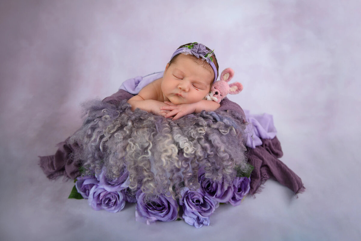 newborn girl in a bucket on a purple background for her newborn photos in Burlington, ON