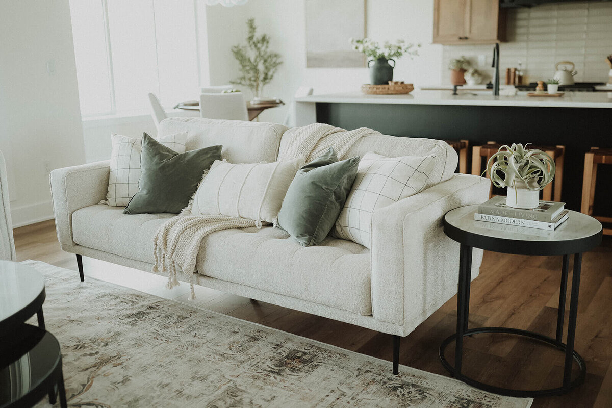 Beechwood-Living-Room-Interior-Design-Grimes-Des-Moines-Waukee-West-Des-Moines-Ankeny-Lake-Panorama-Central-Iowa-3F1A6093(1)