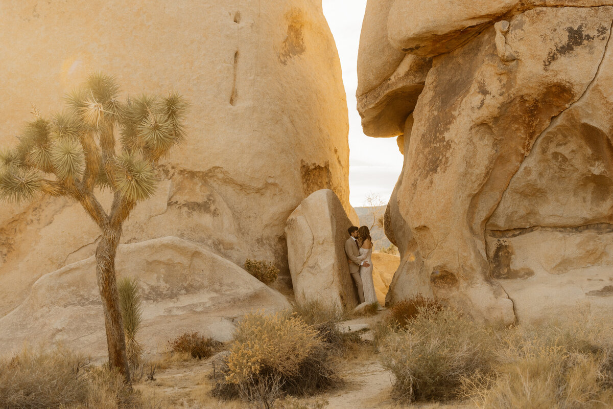 joshua tree photographer-289