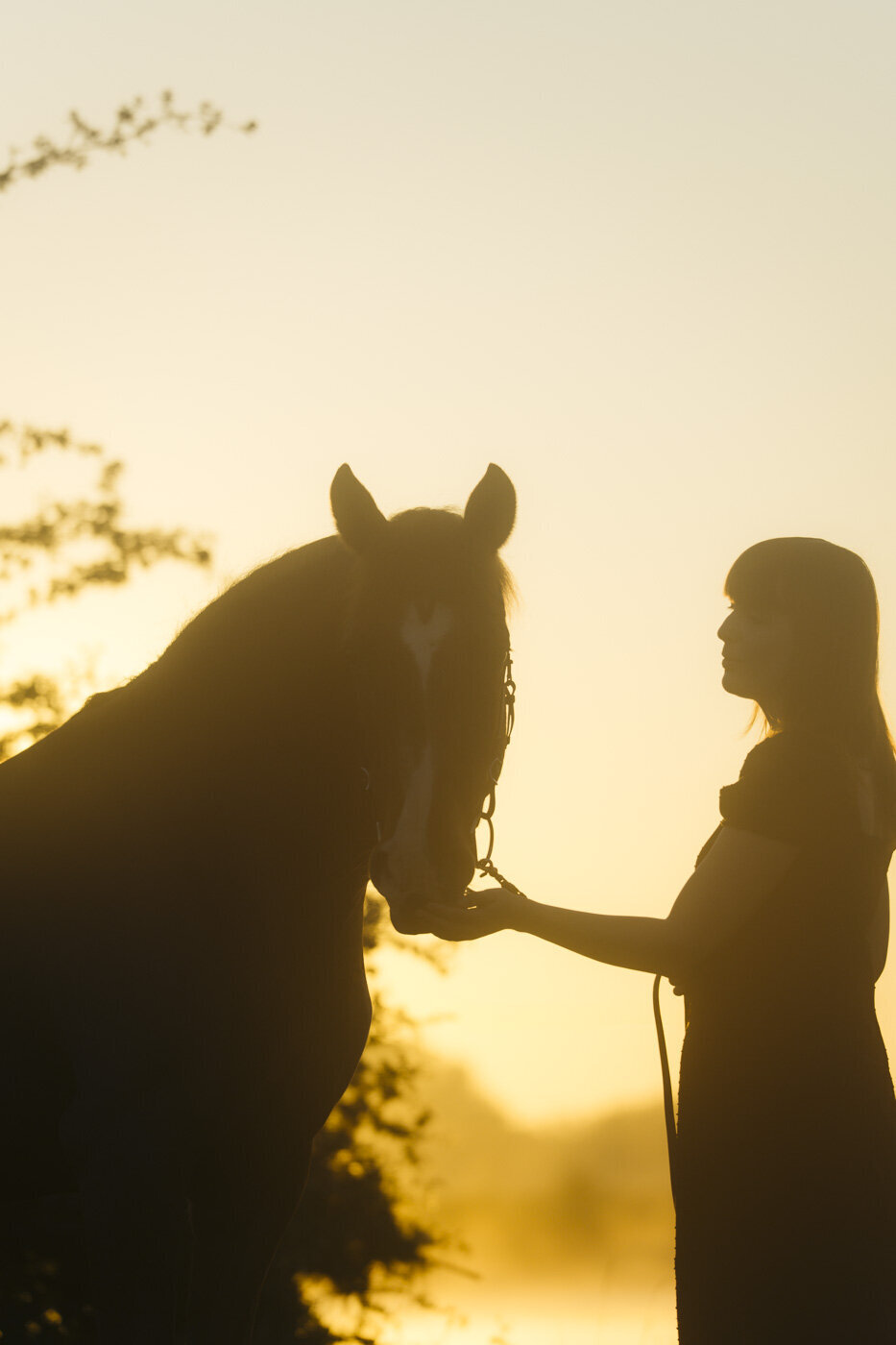 Filmische fotoshoot van Sanne & Rio (24 van 40)