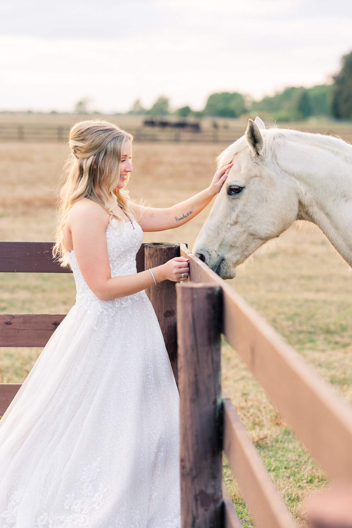 Kristen & Kyle Masters Stable Wedding Horse Portrait | Lisa Marshall Photography