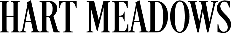 Asset 16