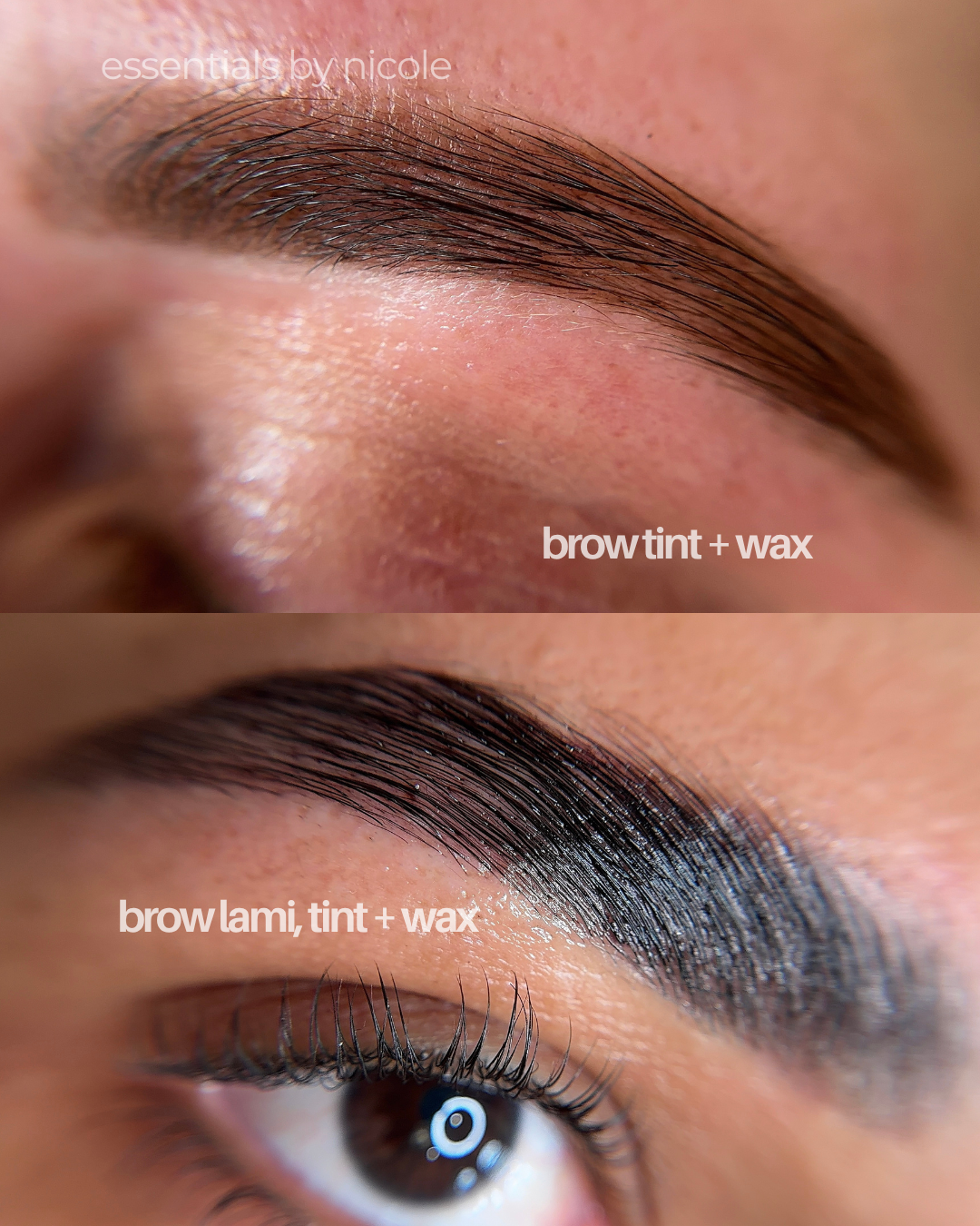 brow lamination and brows tinting before and after in west springfield ma