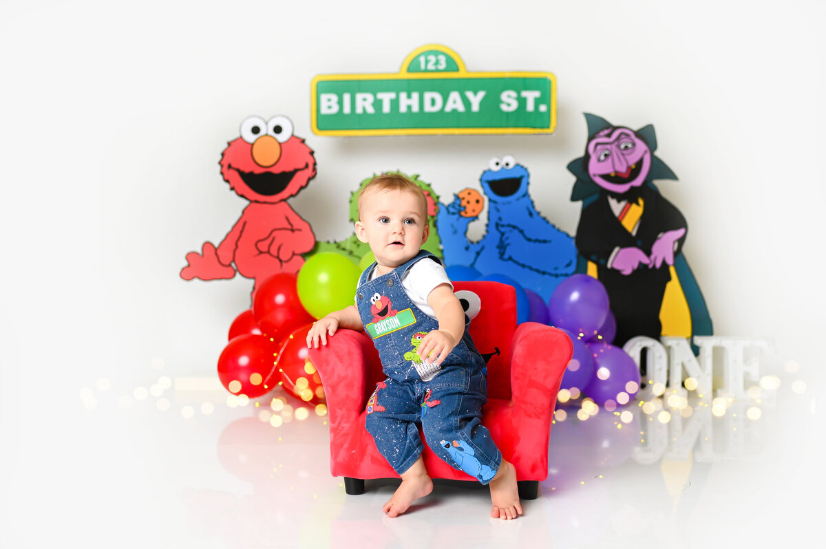 Sesame Street CakeSmash6