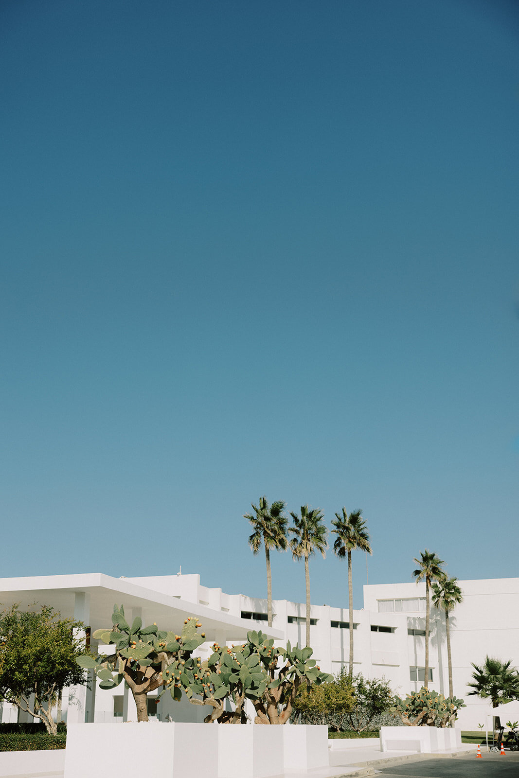 Sacha & Eoin Elopement _ Cait Swithers Photo & Films CO-808