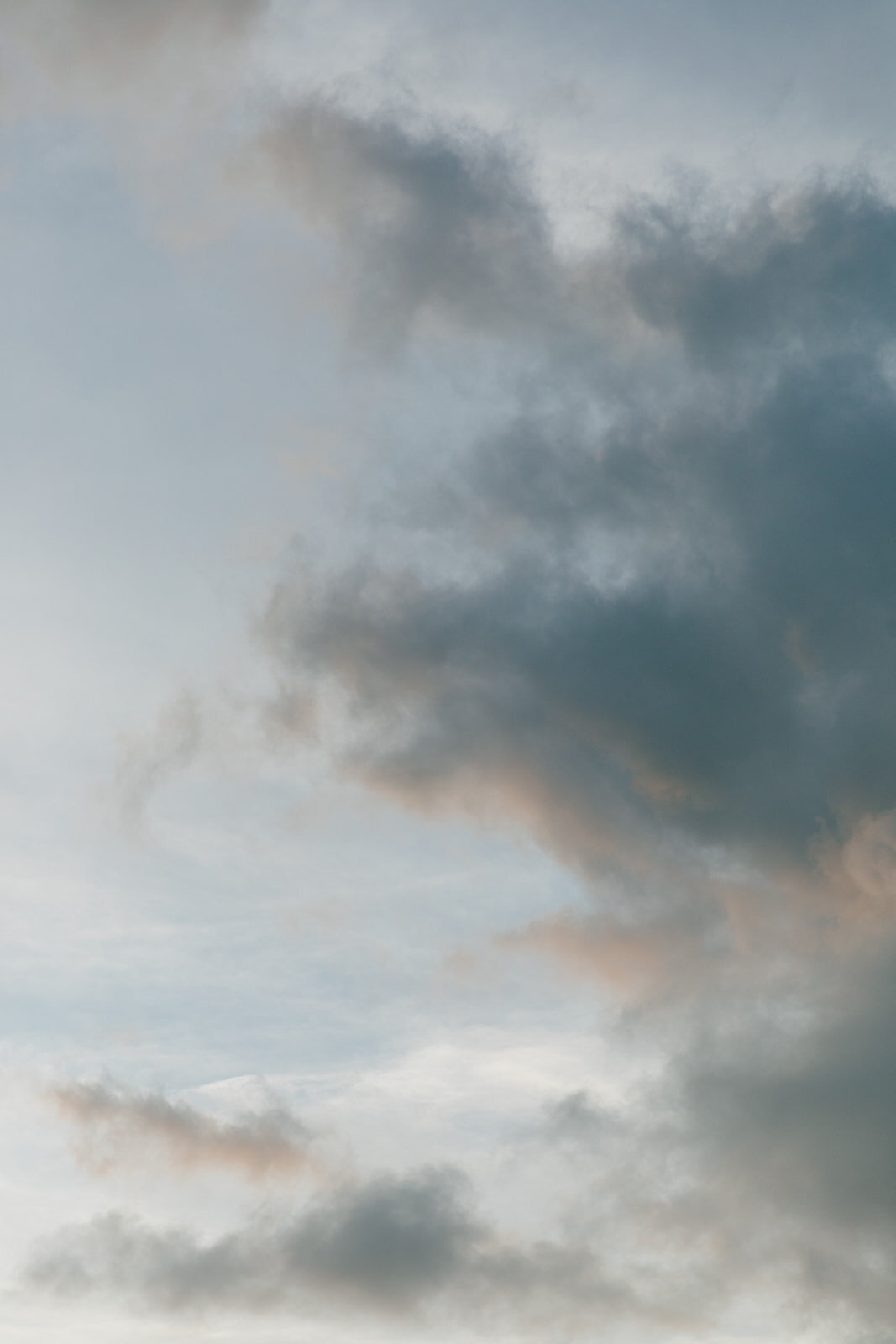 Vivienne_Patrick_Turtle_Bay_Wedding_SBerard_Photography_Ad-20