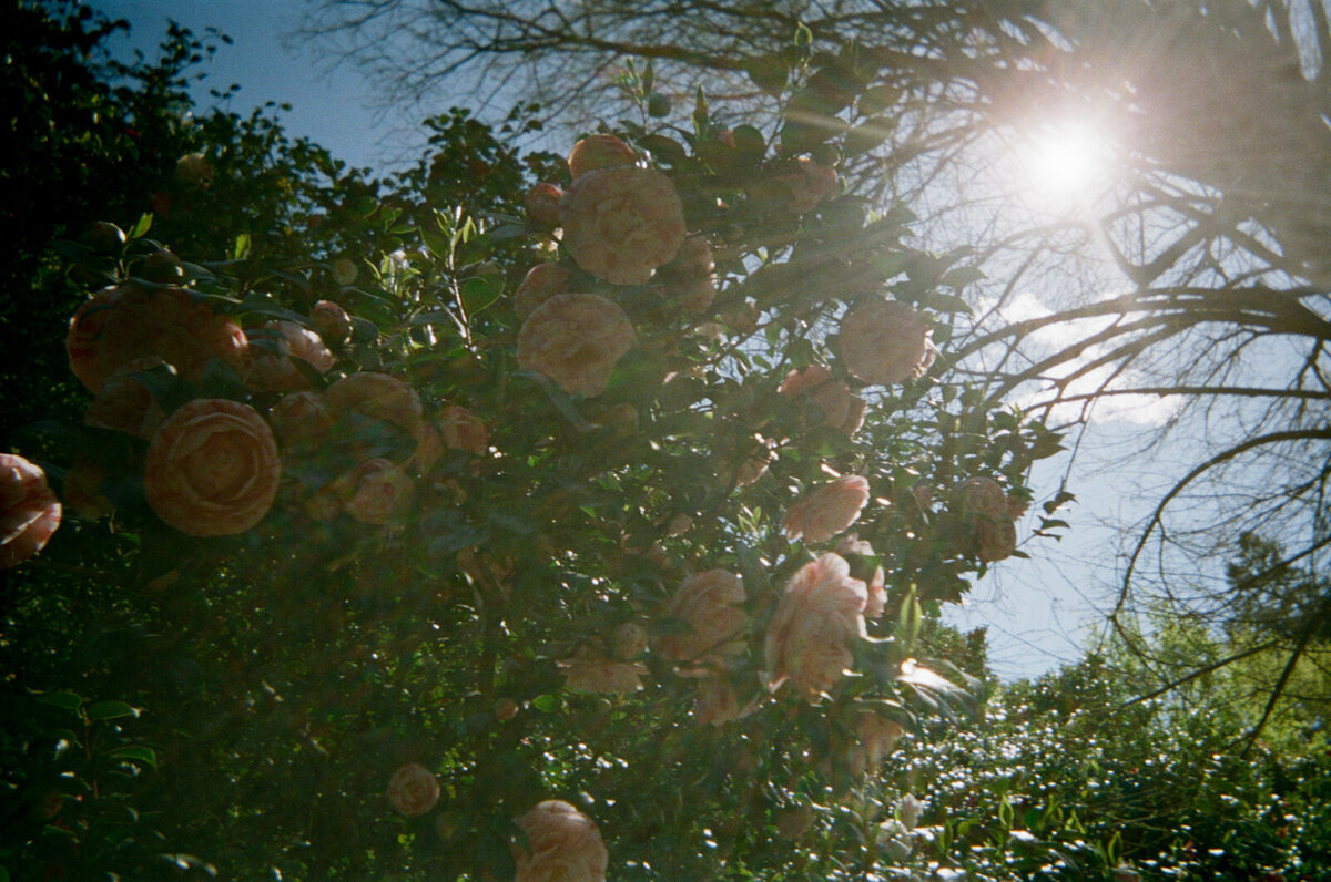 italy-film-photographer-melissa-wahler-12