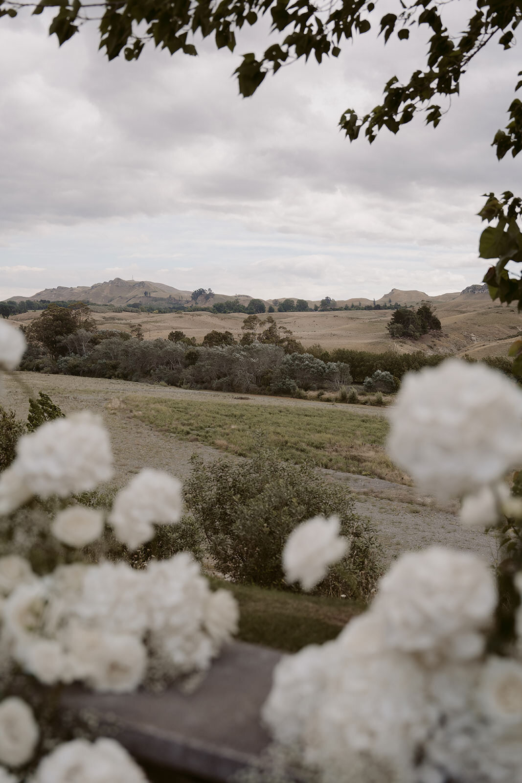 Kate Roberge Photography — Rochelle & Josh-223