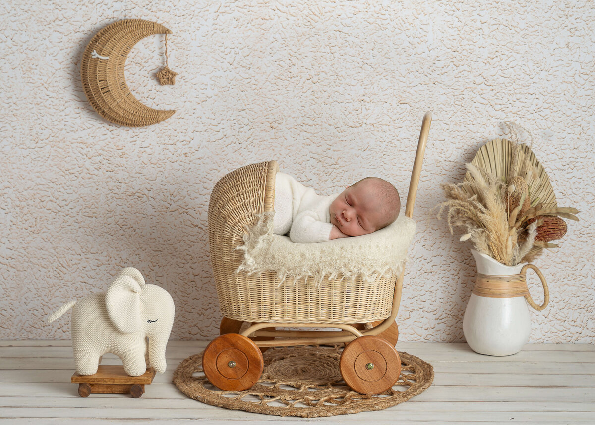 Jacksonville_Newborn_Photographer_Jen_Sabatini_38
