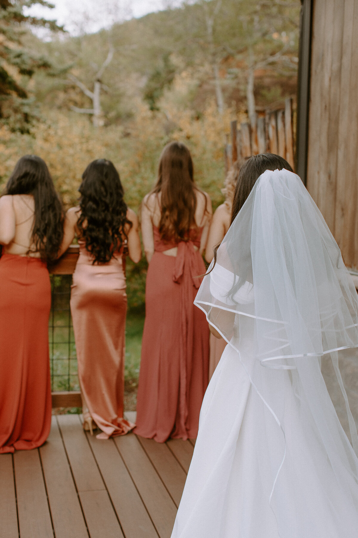 AhnaMariaPhotography_Wedding_Colorado_Daphne&Cy-23