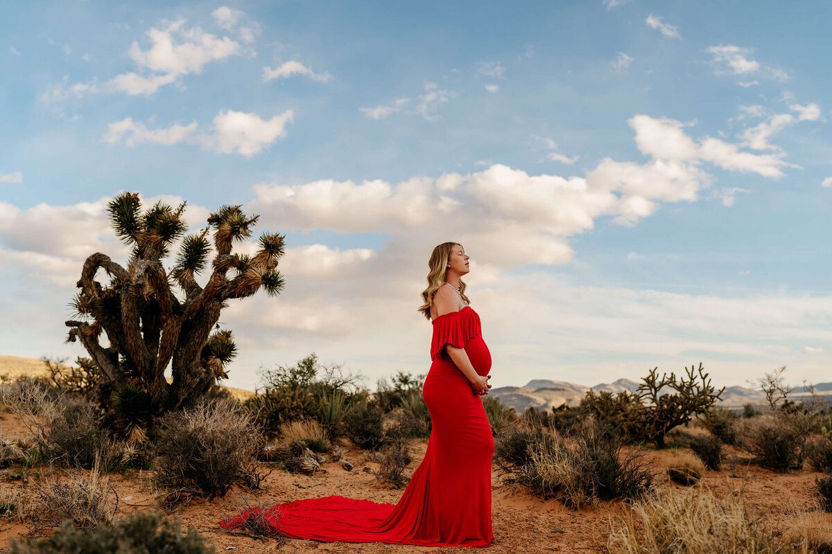 maternity-session-redrock-with-red-dress