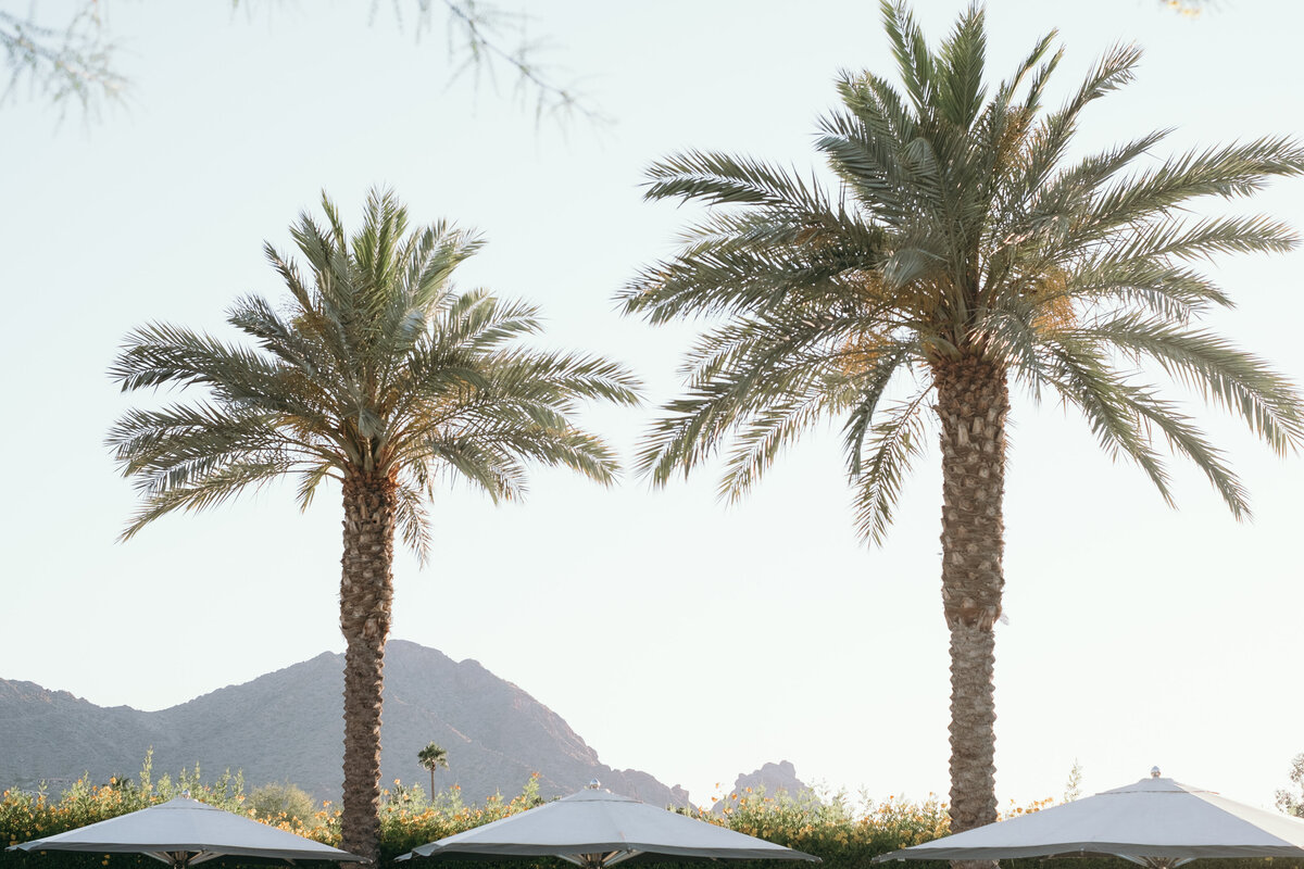 Arizona-Andaz-Resort-Scottsdale-Wedding-Photos-Annette-Ambrose-Photography-1313