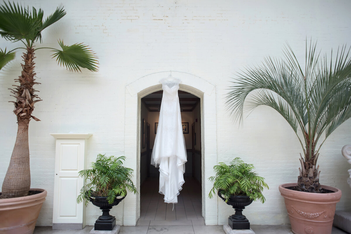 sarah-oberheim-photography-best-st-louis-missour-piper-palm-house-wedding-photographer51