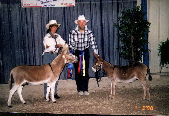 Sonny Grand Champ and Red Ant reserve champ