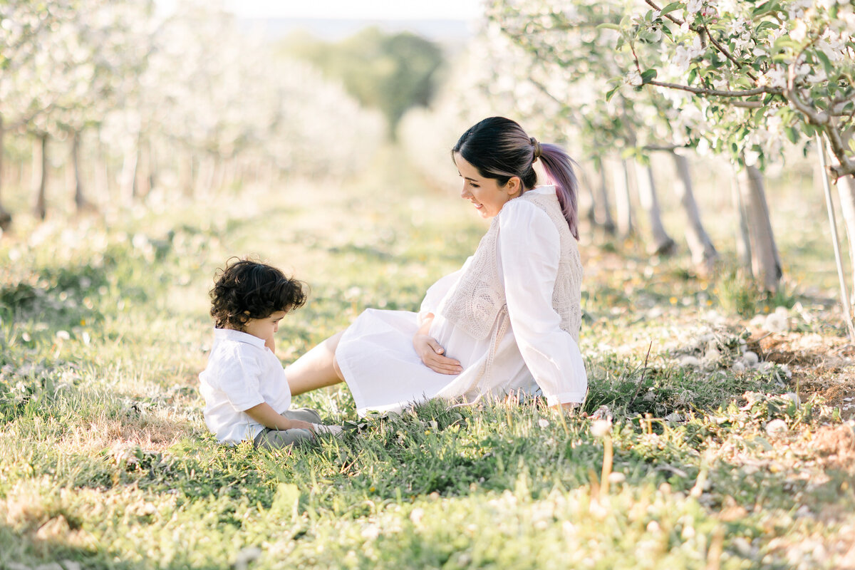 Terri-Lynn Warren Photography - Halifax Maternity Newborn Family Photographer Apple Blossoms-7722