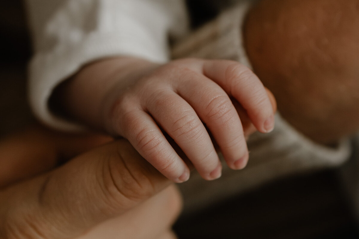 klein handje van een pasgeboren baby tijdens een fotoshoot in Bonheiden
