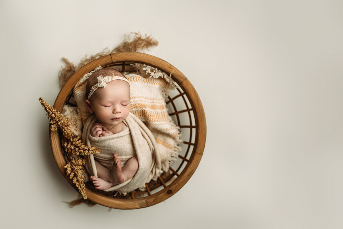 Baby Paisley-8