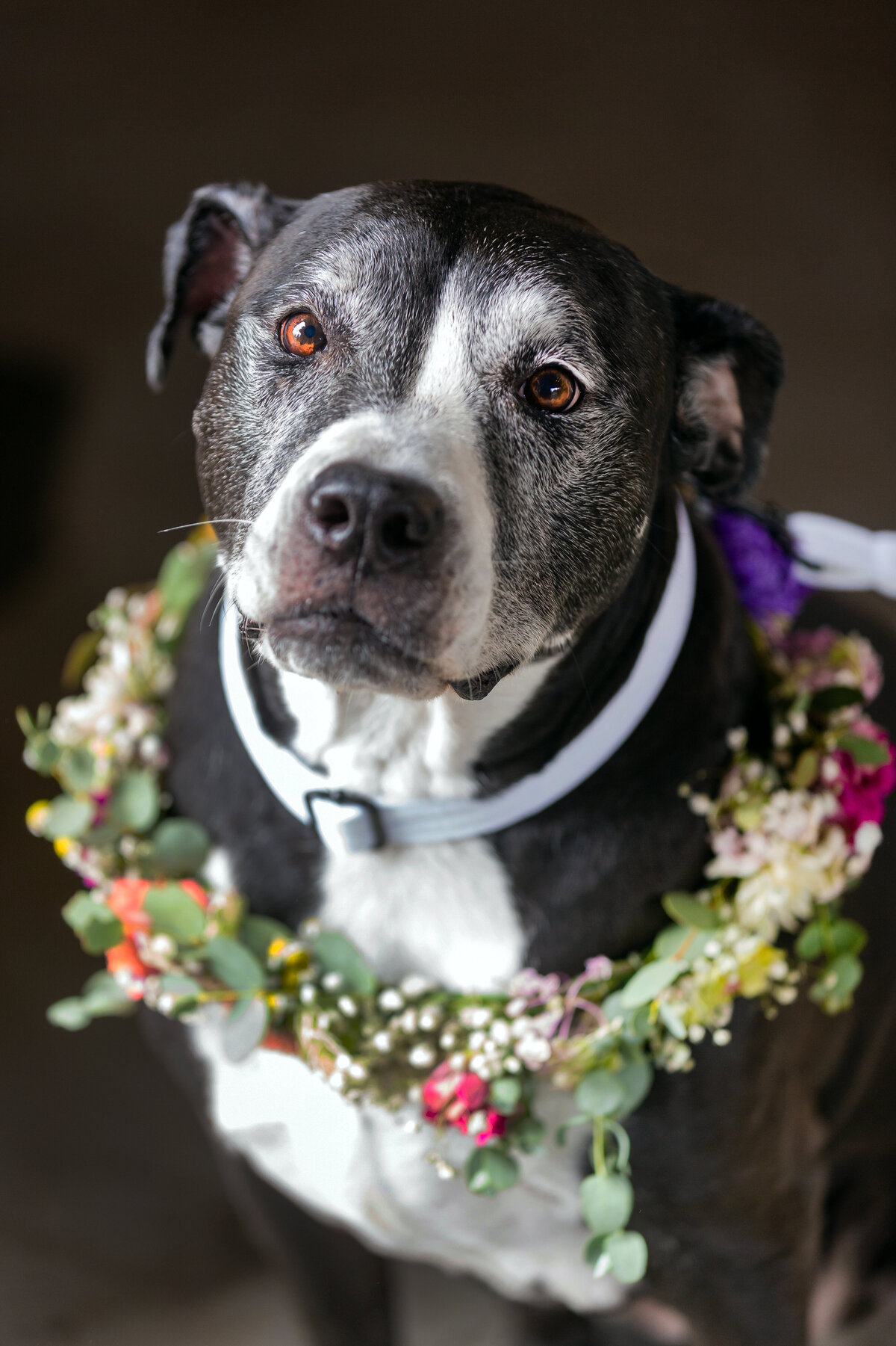 hideoutwedding12