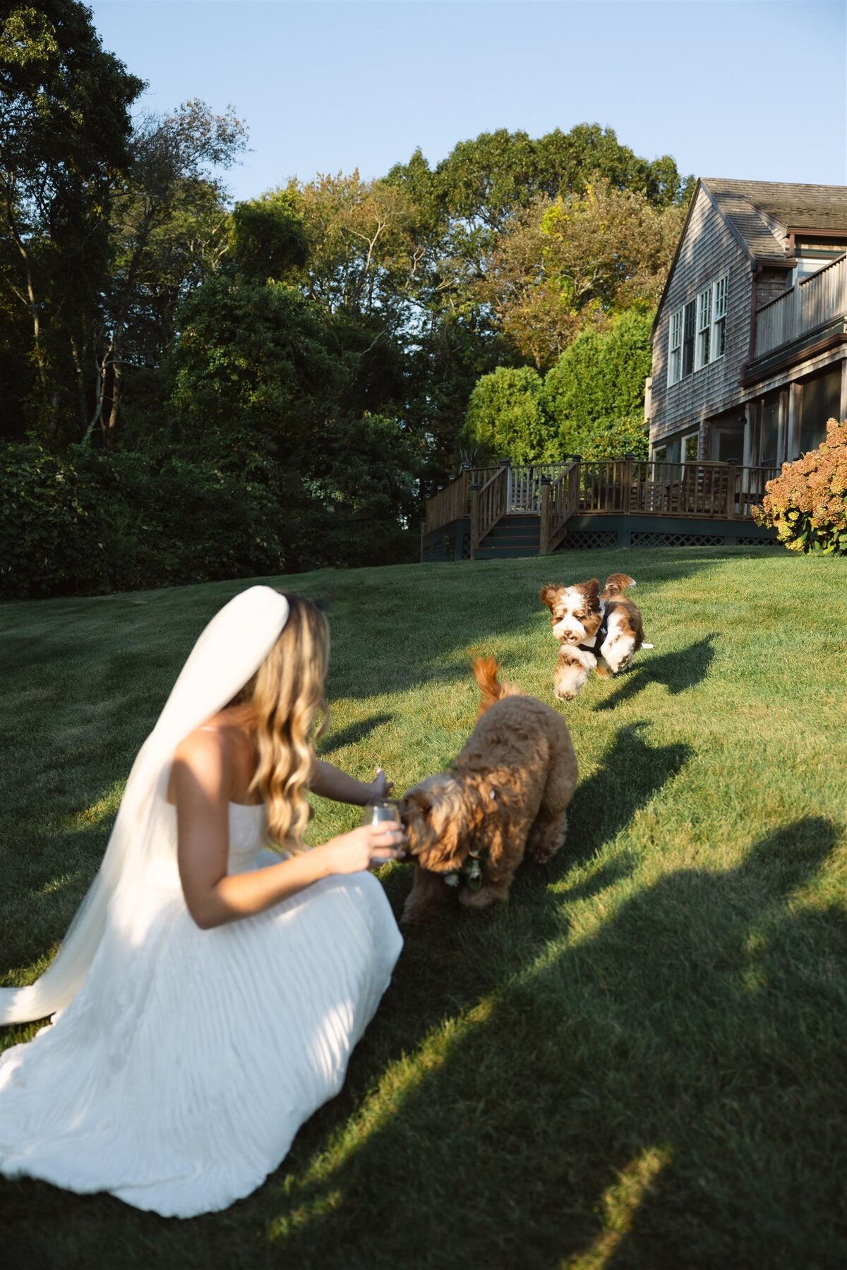 Caroline & Louis Wedding Previews-158