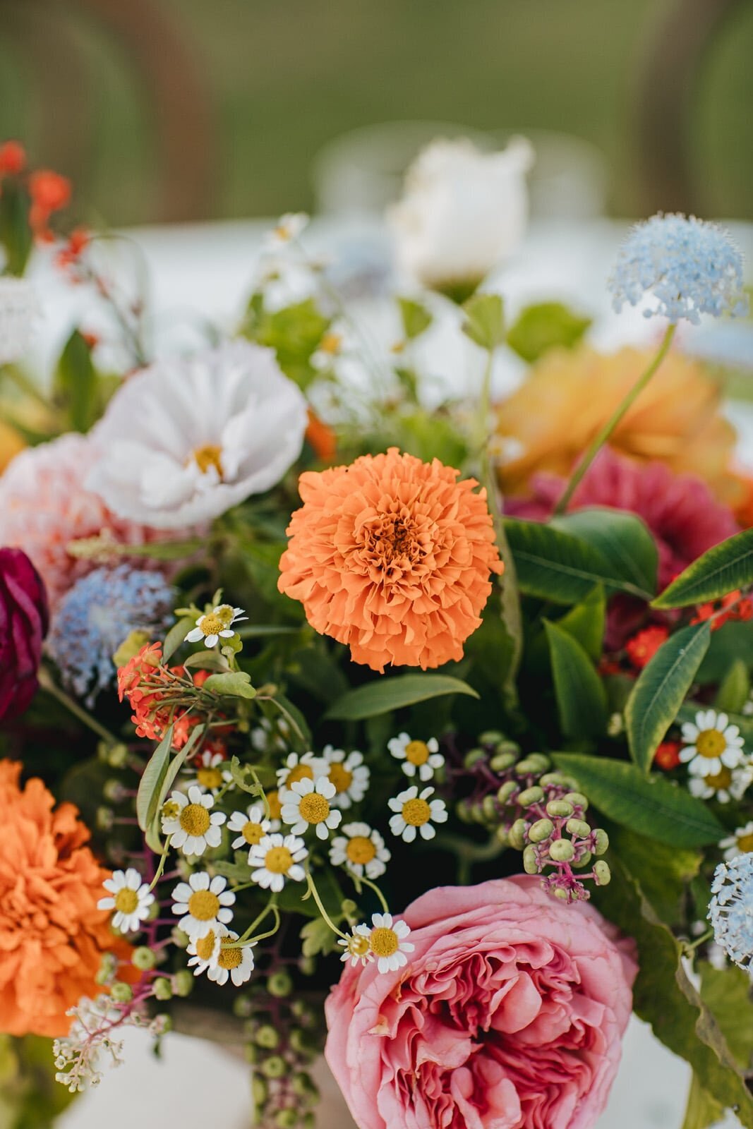 Hummingbird Nest Ranch Wedding | Orange Blossom Events 154