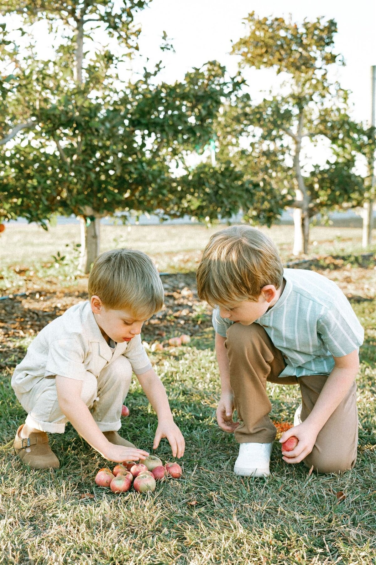 The Goodwins Oct 2024-70_websize