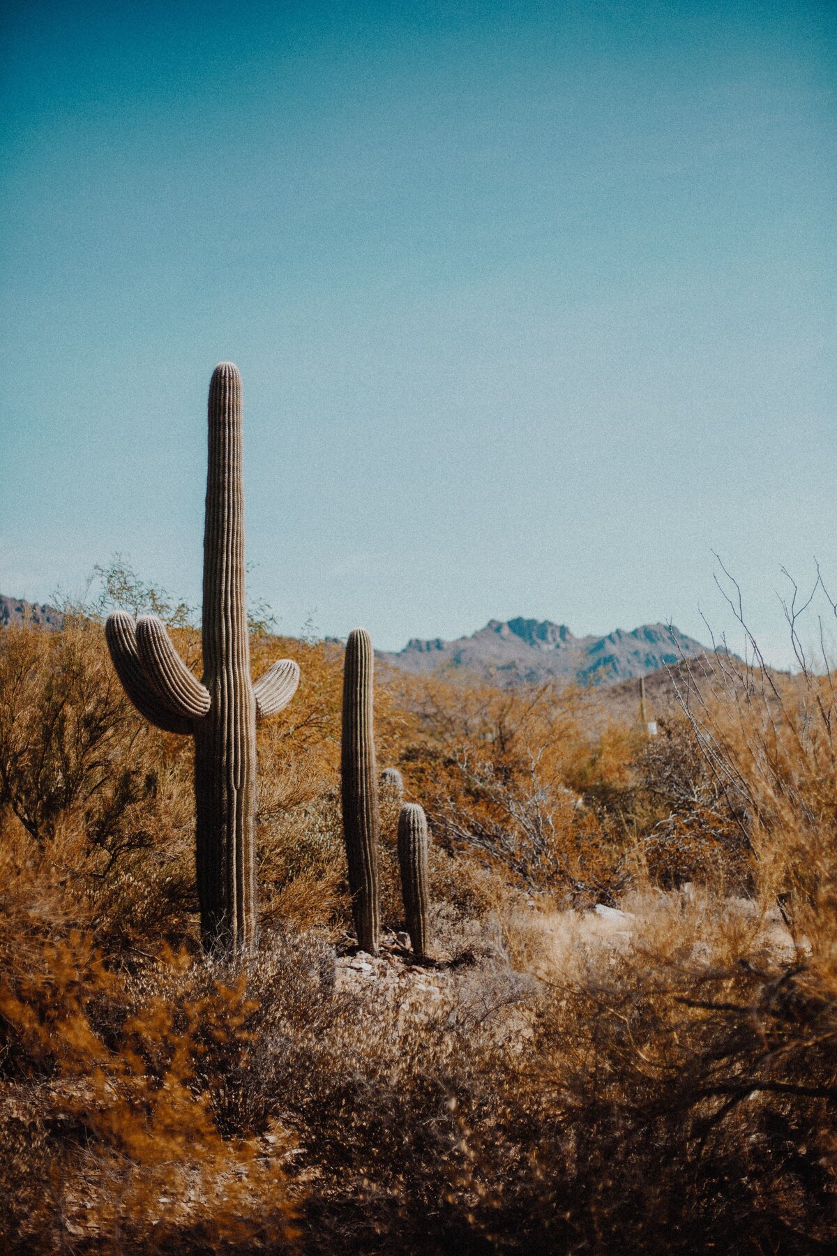 andrew-ling-3XRwG5D-Rq4-unsplash