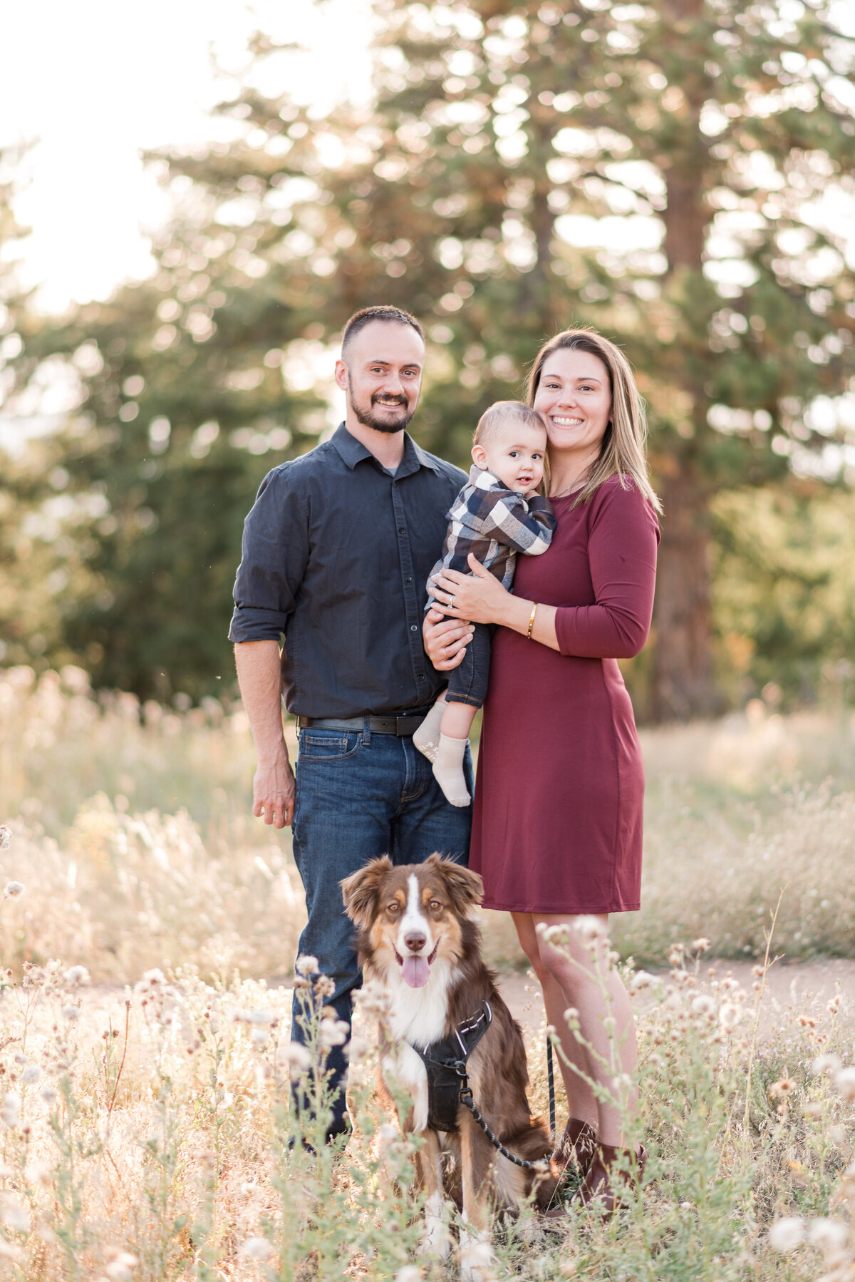 denver family photographers photographs family of three with their dog in a field with trees in the distance while the sun sets in the distance for fall family pictures