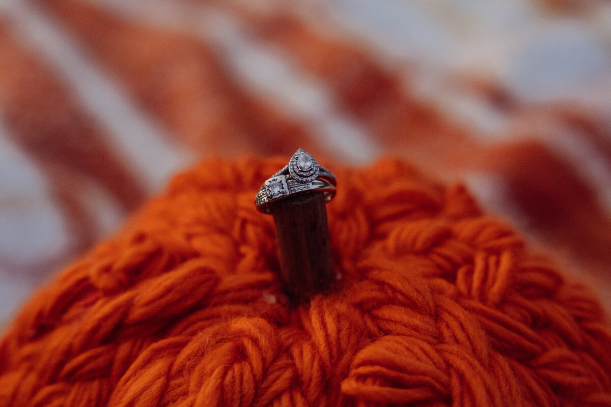 raleigh wedding photographer