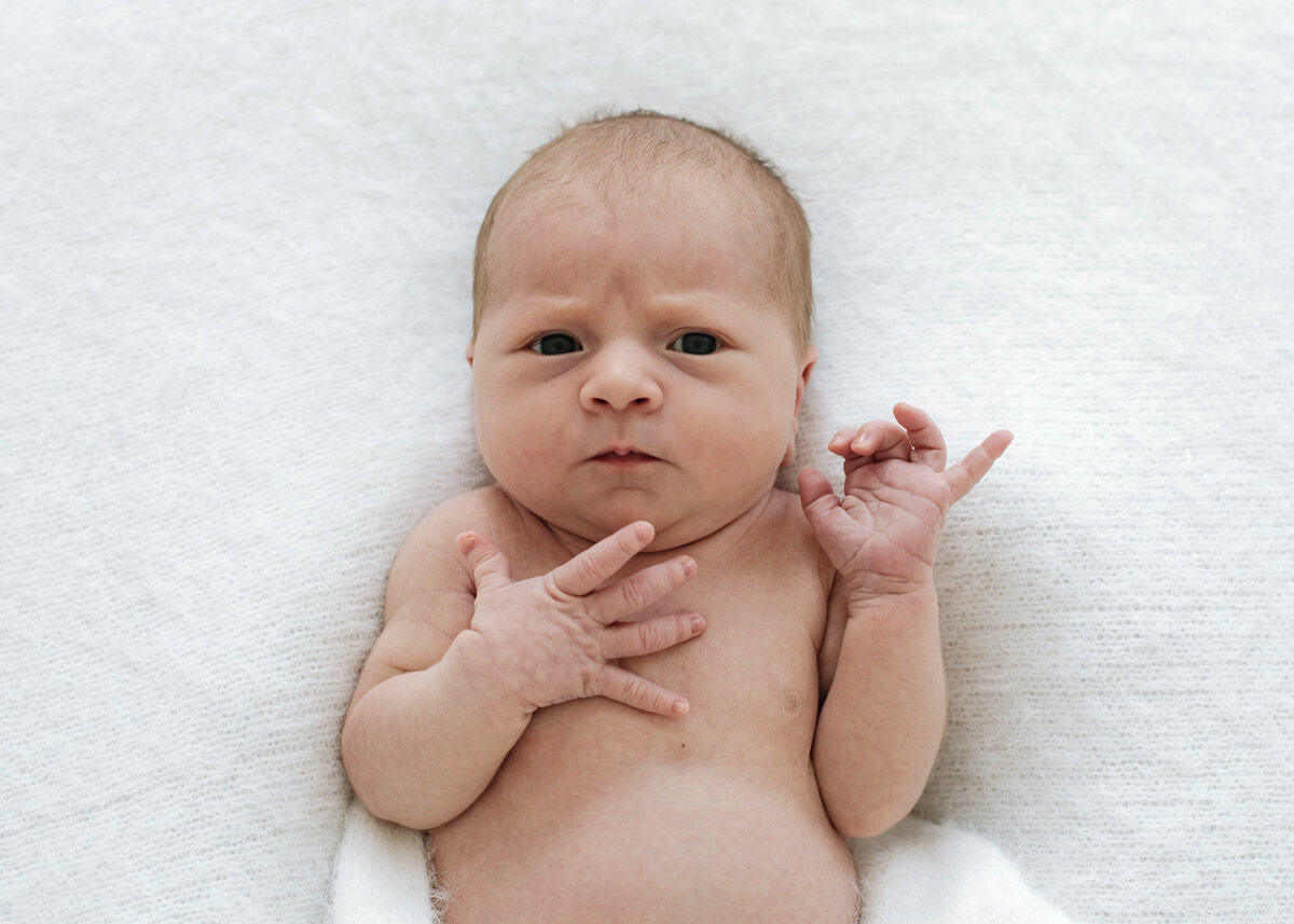 Newborn Photographer 