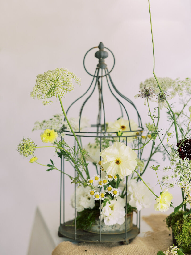 indianapolis wedding florist brand session-2