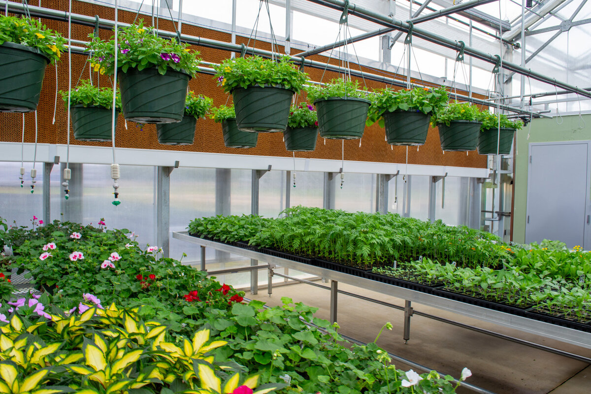 BRCC Greenhouse-07