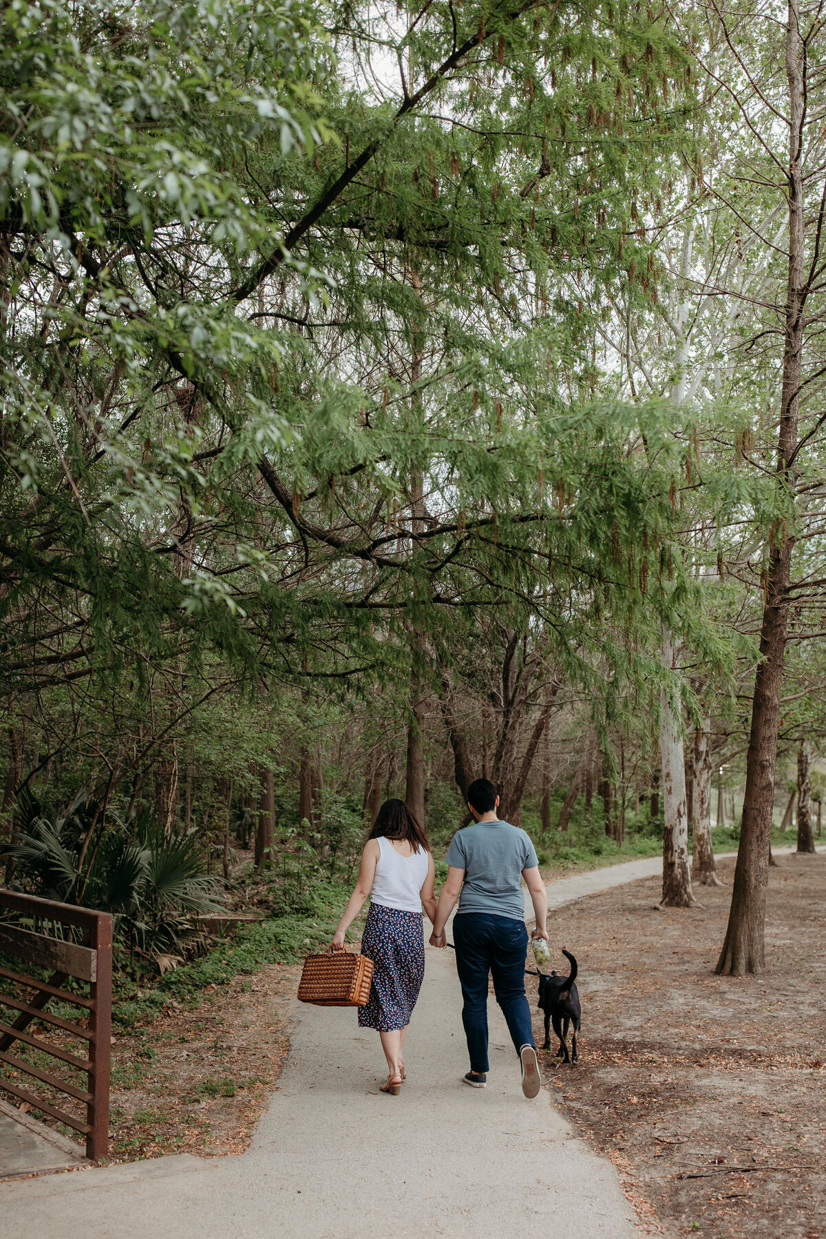 A couple holding hands and walking down a shaded path with their dog and a picnic basket