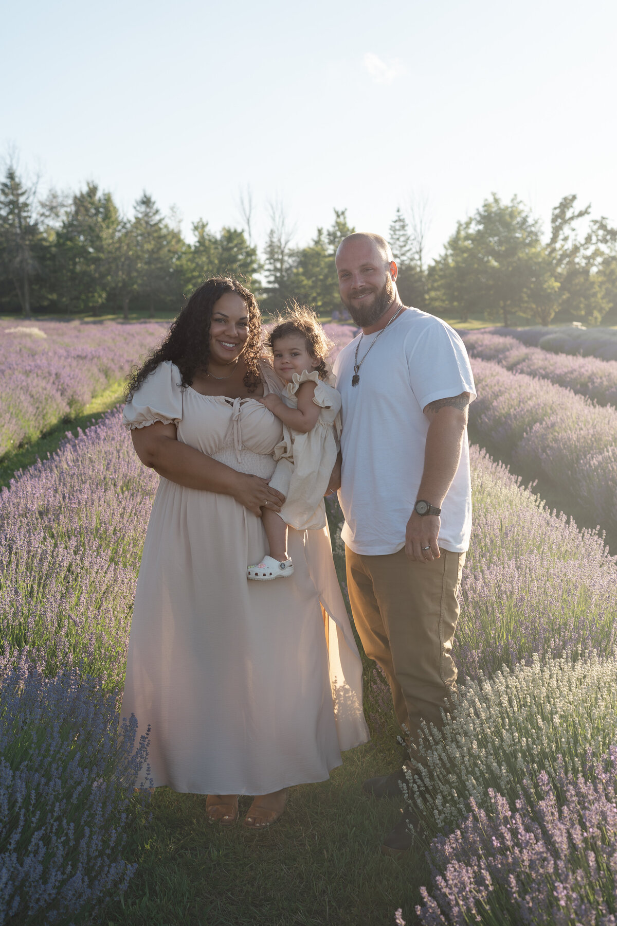 Lavender Minis - Jasmine-1