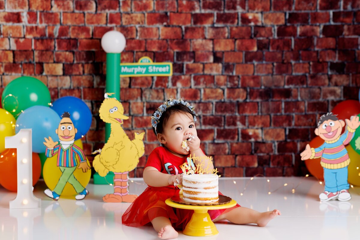 cake-smash-photographer-charlotte-33