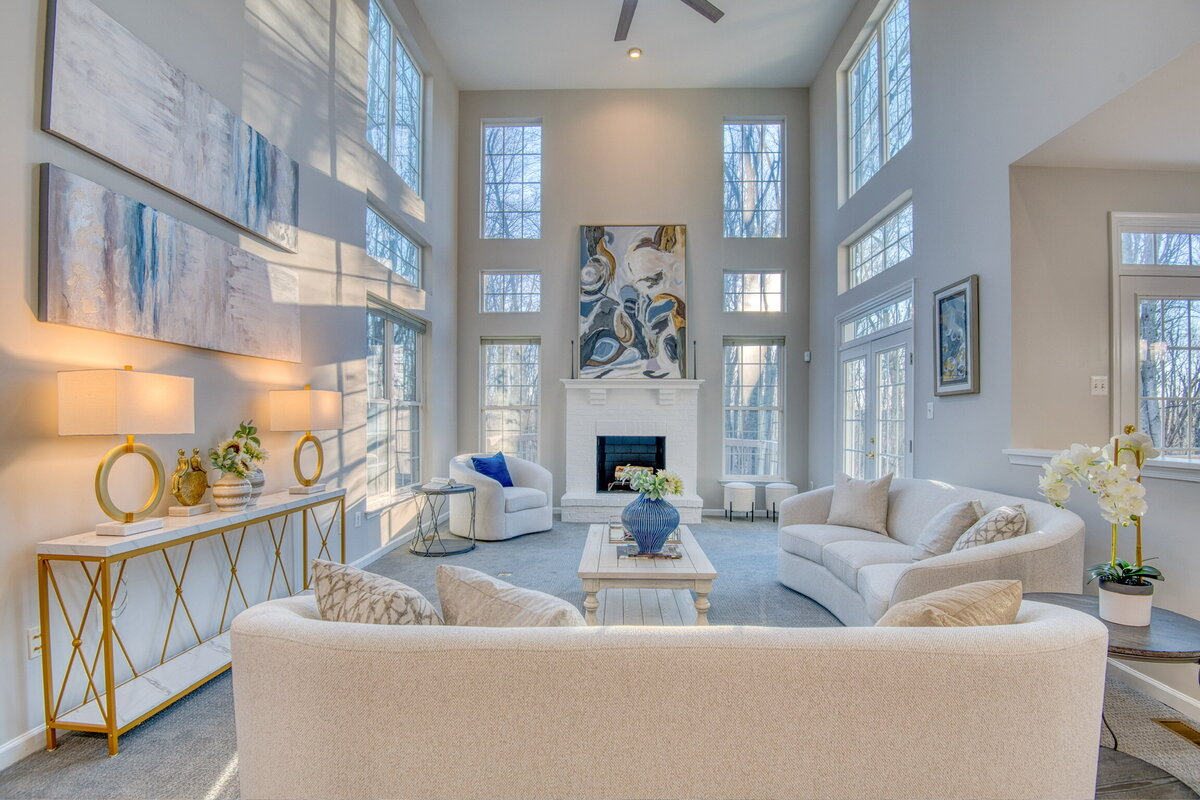 Grand luxury living room