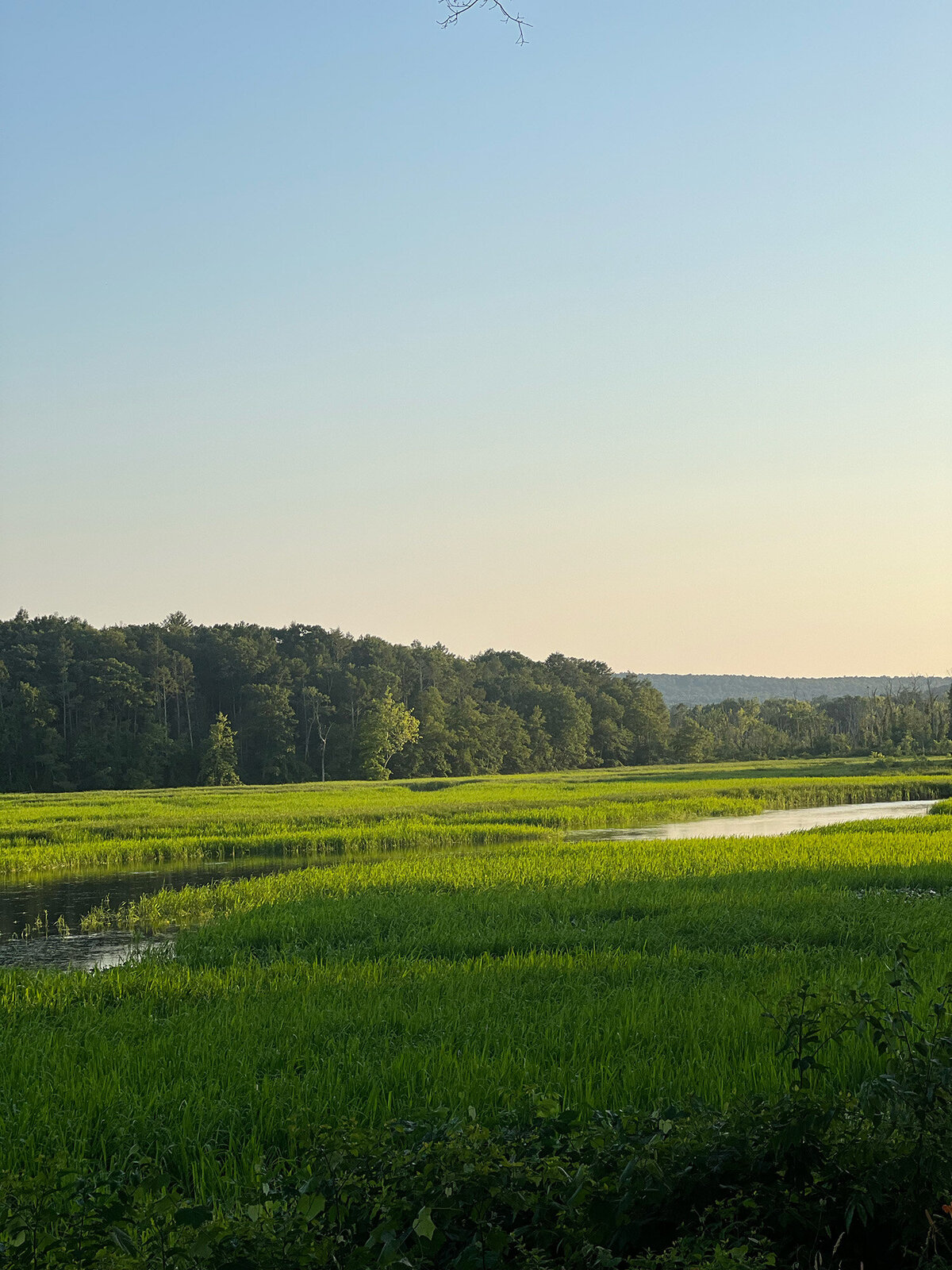 CCC_Estuary_2