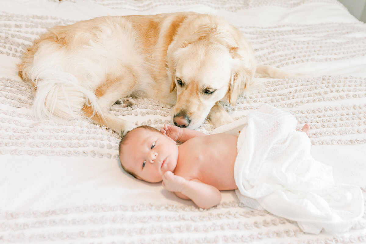 Birmingham-al-Newborn-photographer-Elle-Lovelace-89