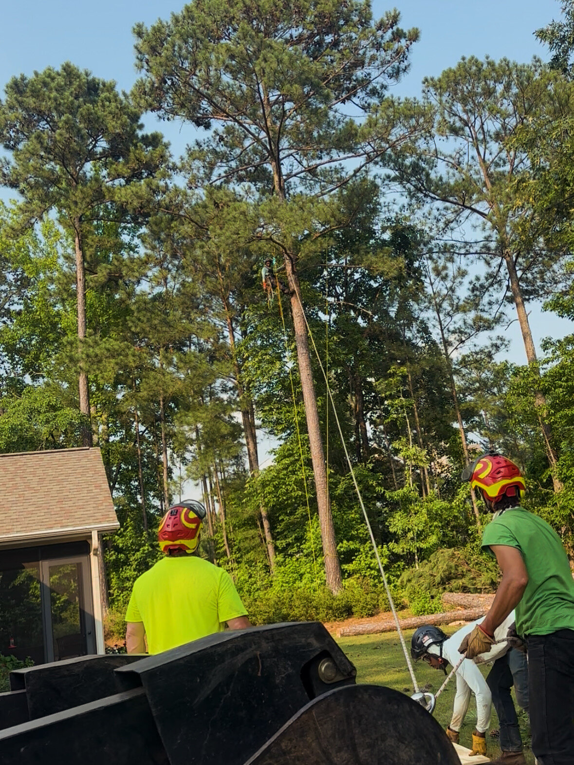 71100614-CC07-42FB-B390-F7418B1FCB31