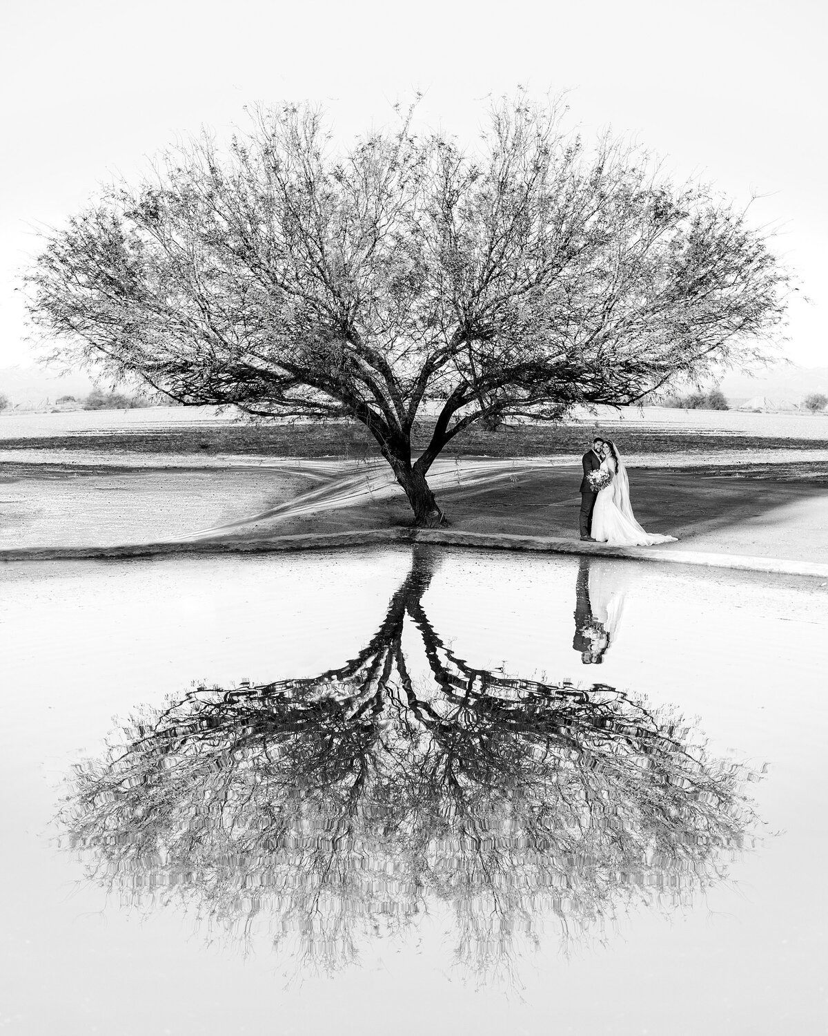 Windmill Winery Lake House Wedding (40)