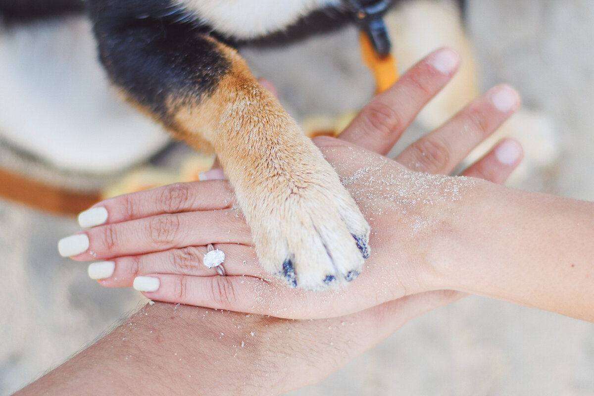 Dreamgraphy_Miami_Fabiana__0013