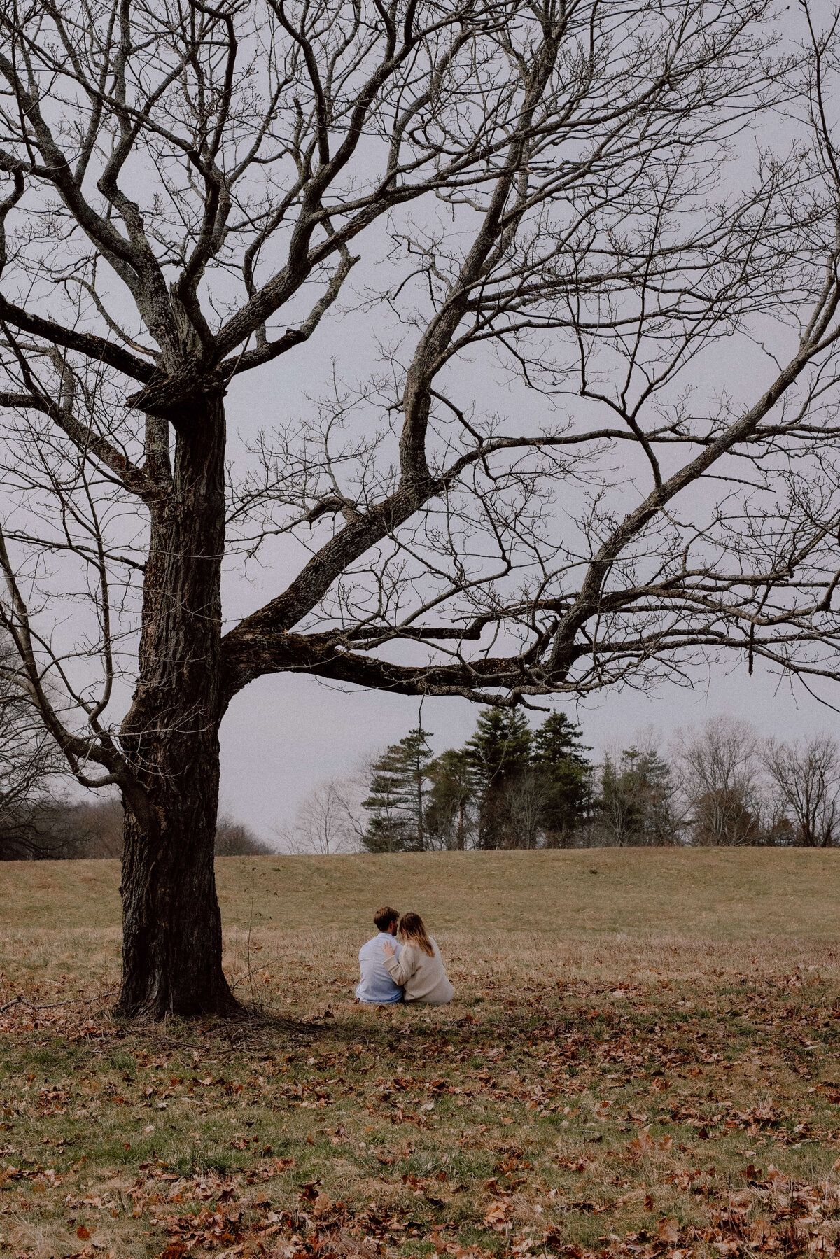 buffalo-engagement-photographer-maris-and-charlie.121