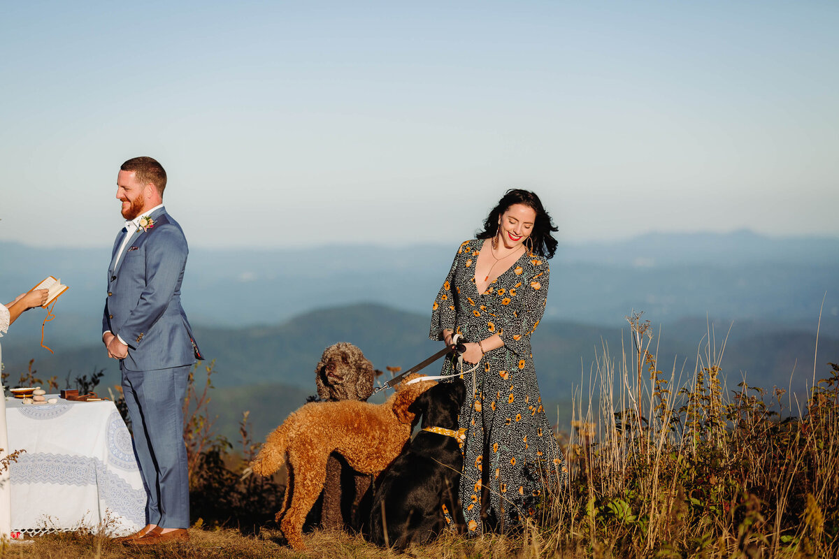 Black-Balsam-NC-Sunset-Elopement-45