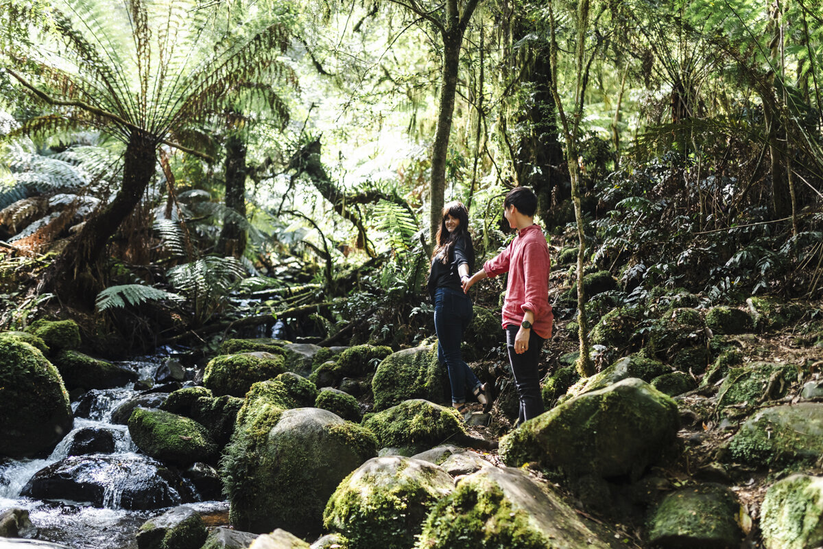 Liminal-Wonderland-Surprisal-Proposal-Engagement021